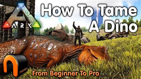 Ark: Survival Evolved - A Prehistoric Paradise Where Dinosaurs Roam and Taming Reigns Supreme!